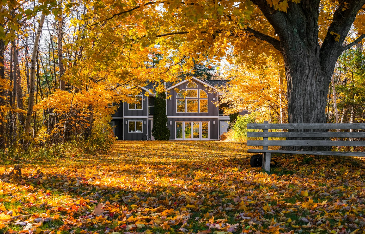 pest management in the fall